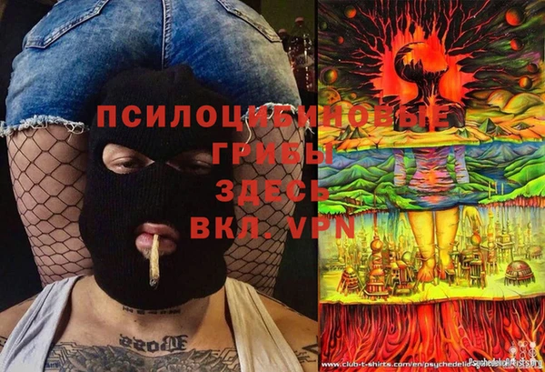 mdpv Горно-Алтайск