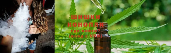 дживик Горнозаводск