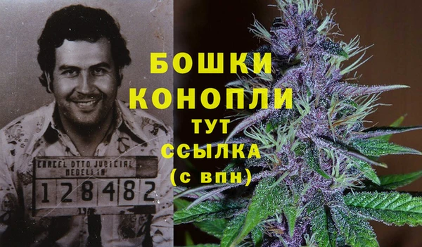 дживик Горнозаводск