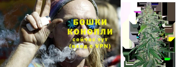 ГАЛЛЮЦИНОГЕННЫЕ ГРИБЫ Гусиноозёрск