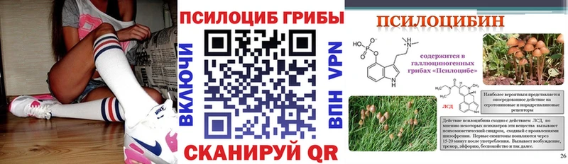 Псилоцибиновые грибы мухоморы  даркнет сайт  KRAKEN ссылки  Заполярный 